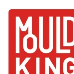 Mould King