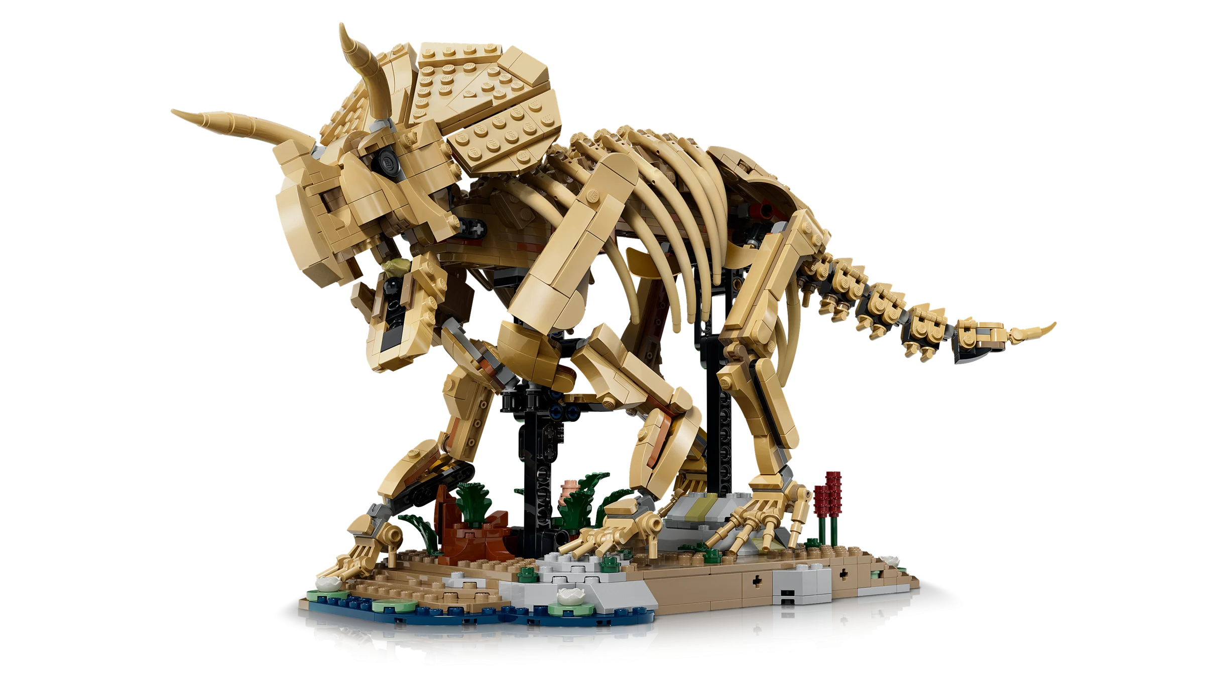 Compatible Dinosaur Fossils Triceratops (1154 Pieces)
