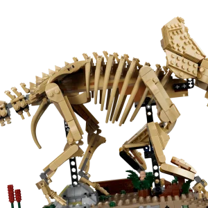 Compatible Dinosaur Fossils Triceratops (1154 Pieces)
